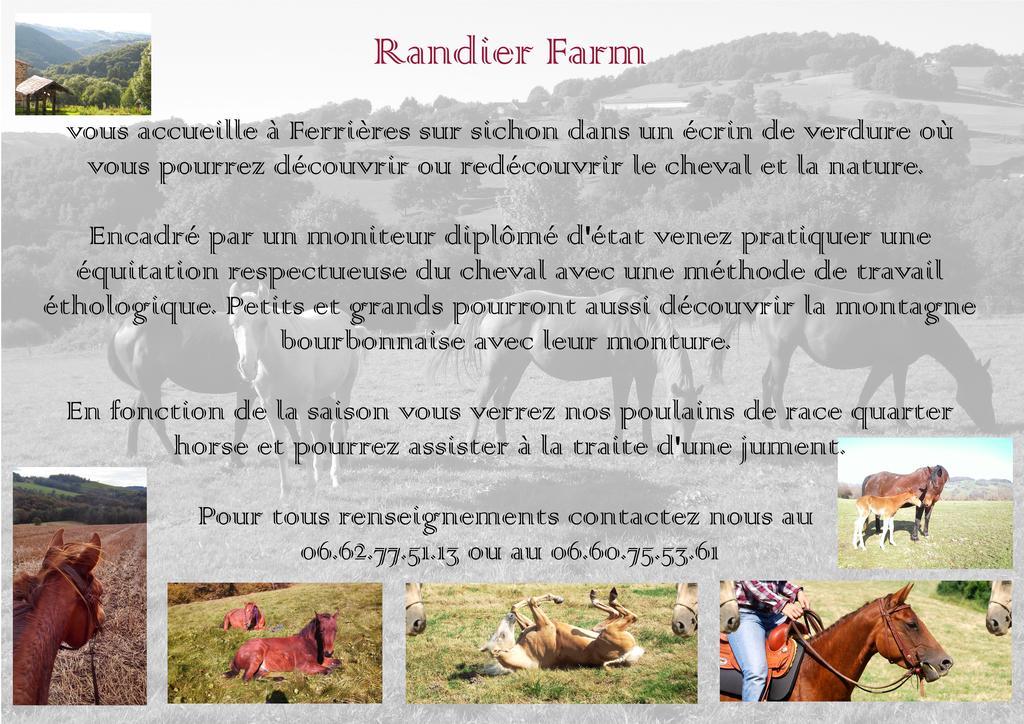 Domaine Du Randier Villa Ferrieres-sur-Sichon Exterior photo